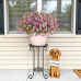 INXUGAO Artificial Fake Flowers Plants for Outdoor Spring Summer Decor, 12 Bundles Faux Silk Flowers for Outdoor Outside Planter Colorful Daisy UV Resistant Look Real for Front Door Porch Patio Yard