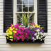 INXUGAO Artificial Flowers for Outdoors Fake Plants Outside, 12 Bundles Silk Morning Glory with Eucalyptus + Orchid Leaf UV Resistant Realistic Faux Flowers for Porch Planter Garden Patio (Mix Color) INXUGAO Artificial Flowers for Outdoors Fake Plants Outside, 12 Bundles Silk Morning Glory with Eucalyptus + Orchid Leaf UV Resistant Realistic Faux Flowers for Porch Planter Garden Patio (Mix Color)