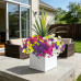 INXUGAO Artificial Flowers for Outdoors Fake Plants Outside, 12 Bundles Silk Morning Glory with Eucalyptus + Orchid Leaf UV Resistant Realistic Faux Flowers for Porch Planter Garden Patio (Mix Color) INXUGAO Artificial Flowers for Outdoors Fake Plants Outside, 12 Bundles Silk Morning Glory with Eucalyptus + Orchid Leaf UV Resistant Realistic Faux Flowers for Porch Planter Garden Patio (Mix Color)