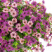 INXUGAO Artificial Fake Flowers Plants for Outdoor Spring Summer Decor, 12 Bundles Faux Silk Flowers for Outdoor Outside Planter Colorful Daisy UV Resistant Look Real for Front Door Porch Patio Yard