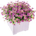 INXUGAO Artificial Fake Flowers Plants for Outdoor Spring Summer Decor, 12 Bundles Faux Silk Flowers for Outdoor Outside Planter Colorful Daisy UV Resistant Look Real for Front Door Porch Patio Yard